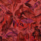212303.0015