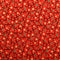 207924.2002