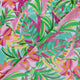 25007/002