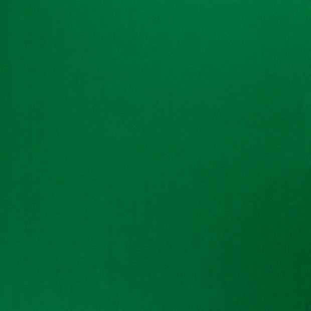 Canvas tissu Unicolore Pomme verte