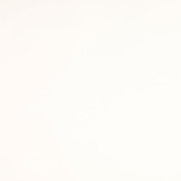 Woven Polyester fabric Unicolour white