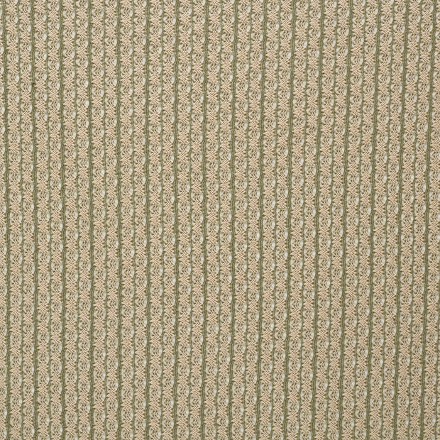 Dentelle tissu Vert mat 