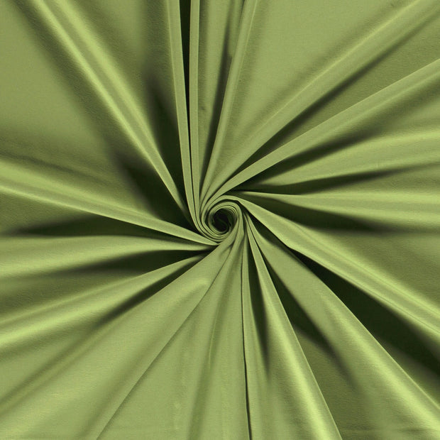 Jersey tissu Pomme verte 