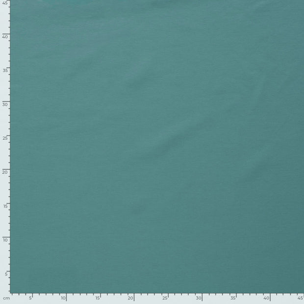 Punta di Roma fabric Unicolour Green