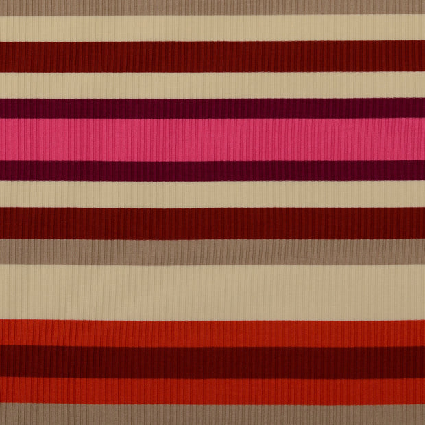  tissu rayures multicolore