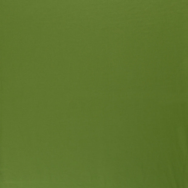 French Terry tissu Vert Forêt 