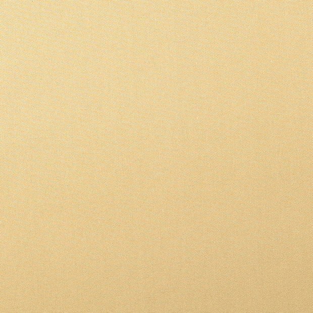 Canvas fabric Unicolour Beige
