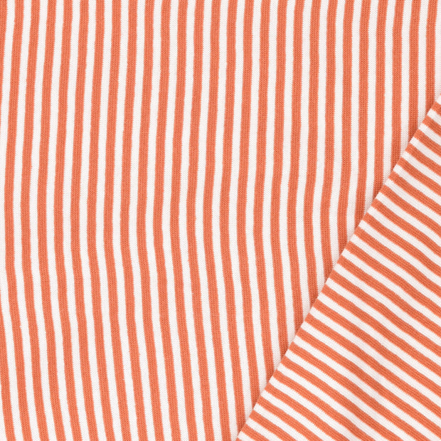 Bord Cote tissu rayures fil teint 