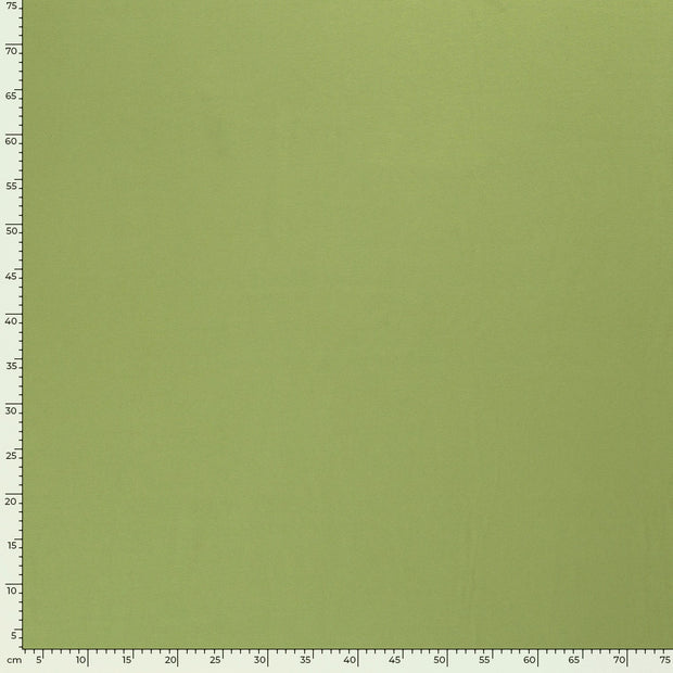 Jersey tissu Unicolore Pomme verte