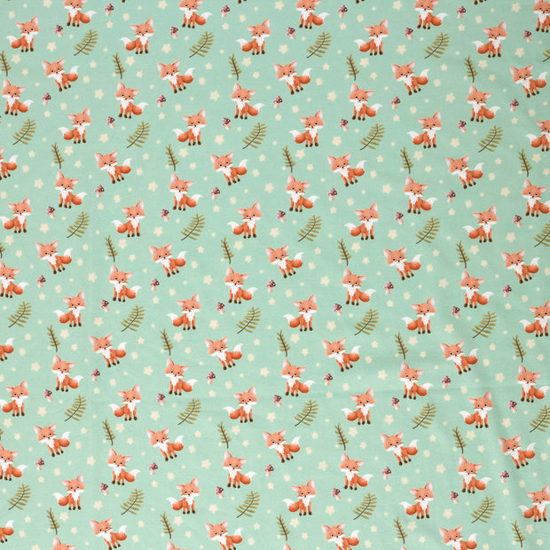 Jersey tissu Menthe 