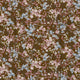 26049/055