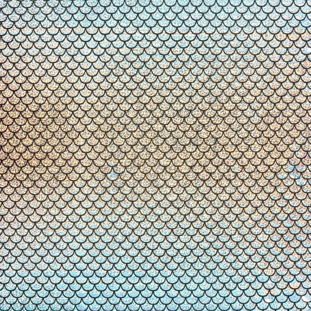 Lamé fabric Silver foiled 