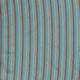 20310/009