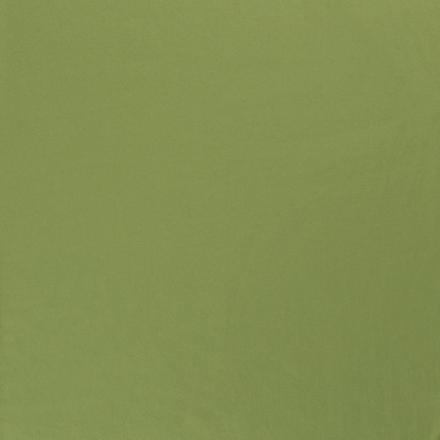 Jogging fabric Apple Green matte 