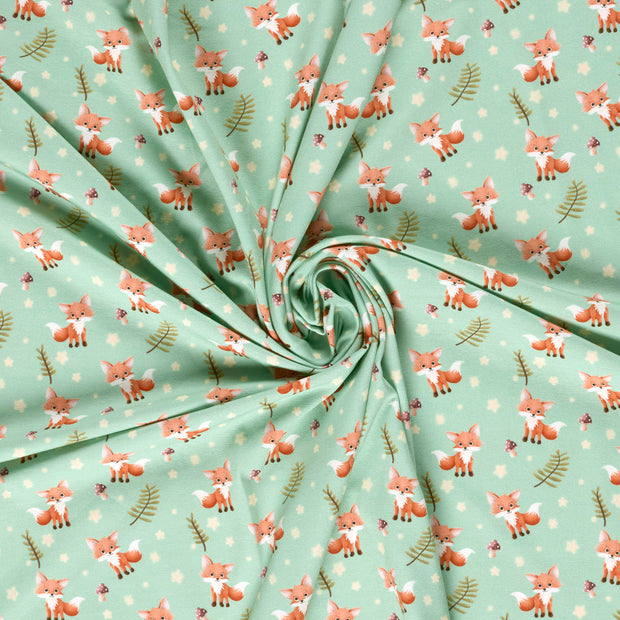 Jersey tissu Menthe imprimé numérique 