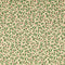 211168.0801