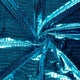 20857/004
