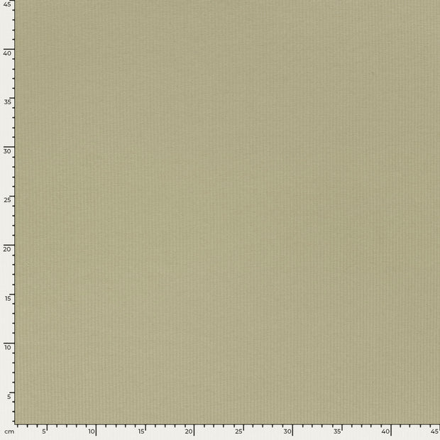 Rib Jersey fabric Unicolour Olive Green