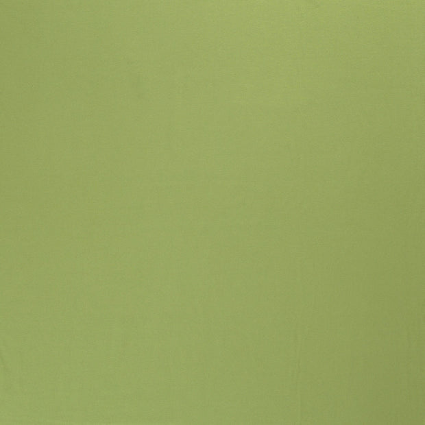 Jersey tissu Pomme verte 