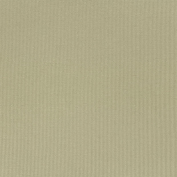 Rib Jersey fabric Olive Green soft 