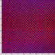 20856/017