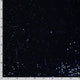 24309/008