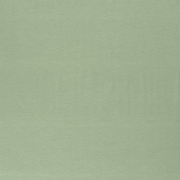 Cotton Jersey GOTS organic fabric Mint matte 