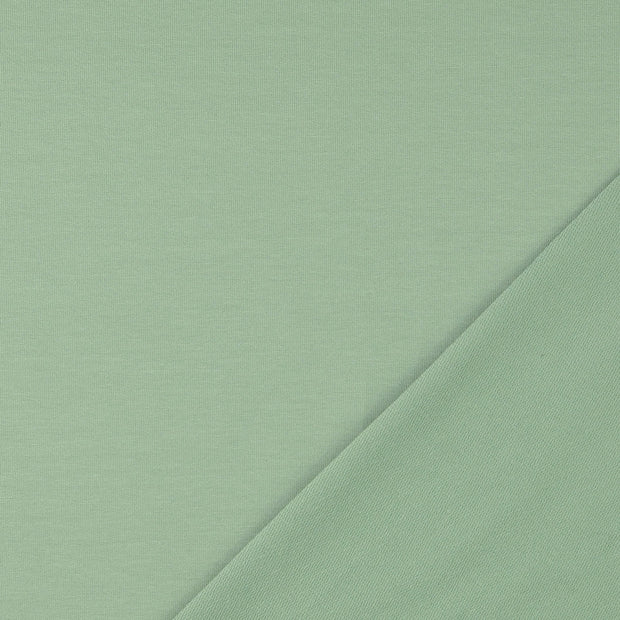 French Terry tissu Unicolore 