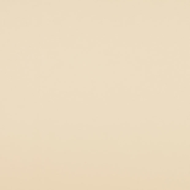 Artificial Leather fabric Unicolour Off White