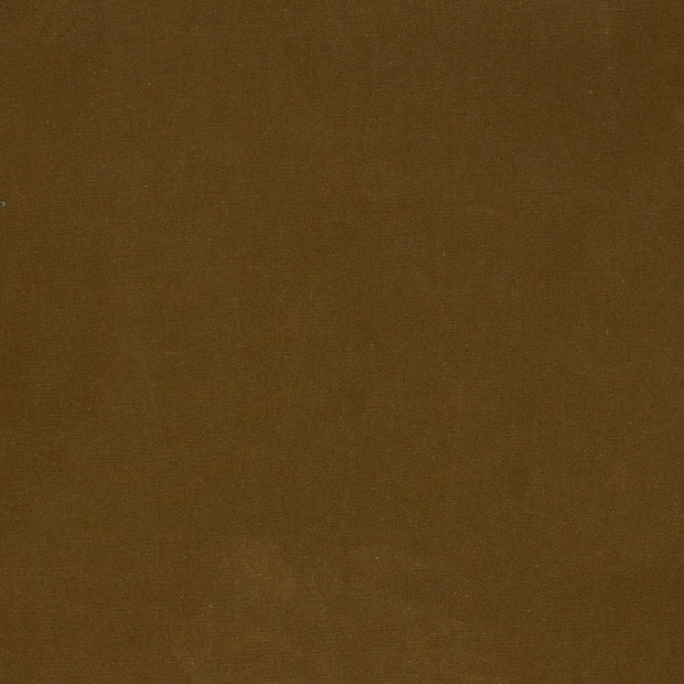 Canvas tissu Ocre 