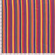 20310/005