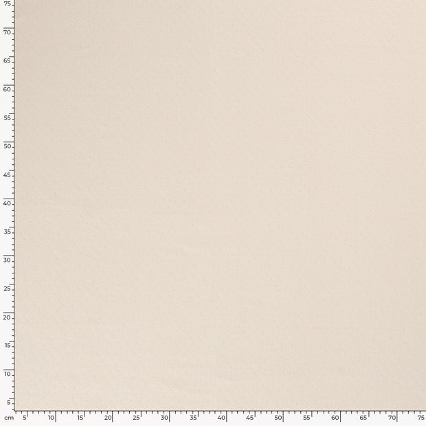 Pointelle tissu Unicolore Ivory