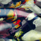 24006/006