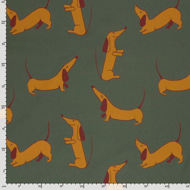 Softshell fabric Dinosaurs Dark Green