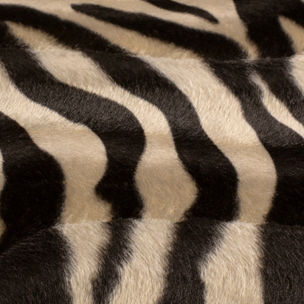 Velours fabric Zebras Camel