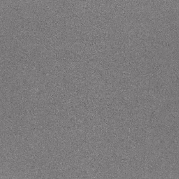 Felt 3mm fabric Light Grey matte 