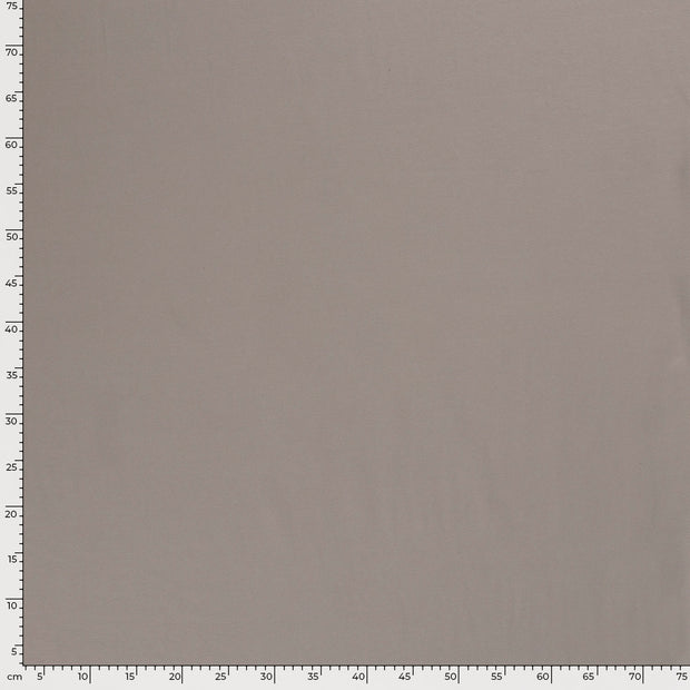 Jersey tissu Unicolore Gris