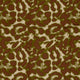 26055/027