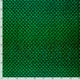 20856/025