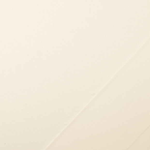 Cotton Jersey fabric White stone washed 
