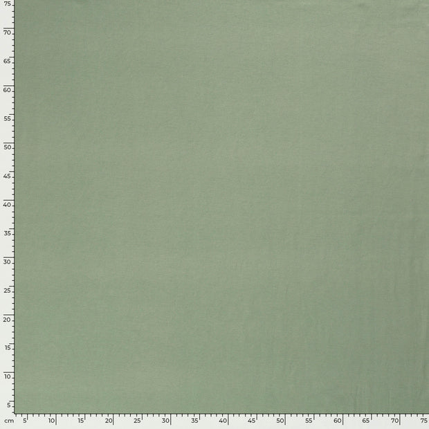 Jersey tissu Unicolore Menthe foncée