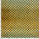 20856/080