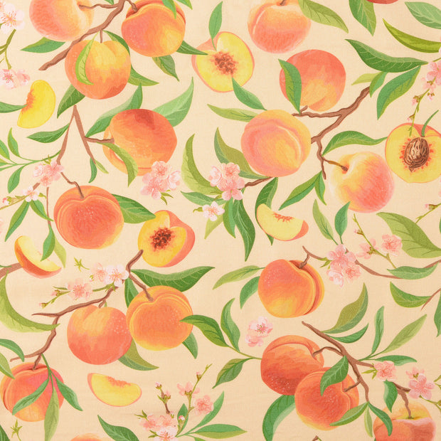 Fahnentuch fabrik Obst & Früchte Apricot