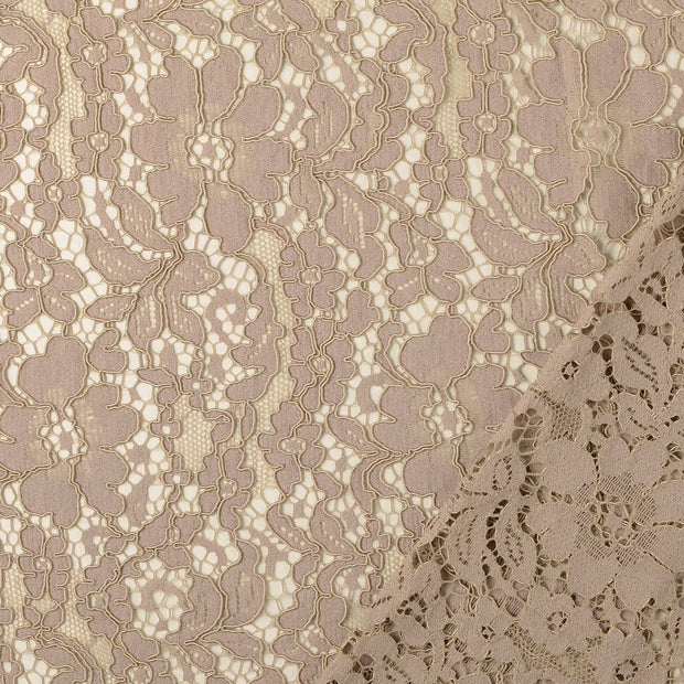 Lace fabric Beige embroidered with border 