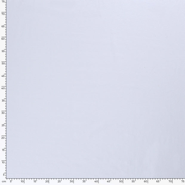 Jersey tissu Unicolore Bleu clair