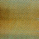 20856/080