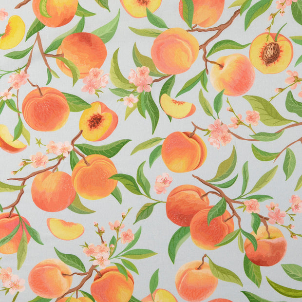 Fahnentuch fabrik Obst & Früchte Hell Blau