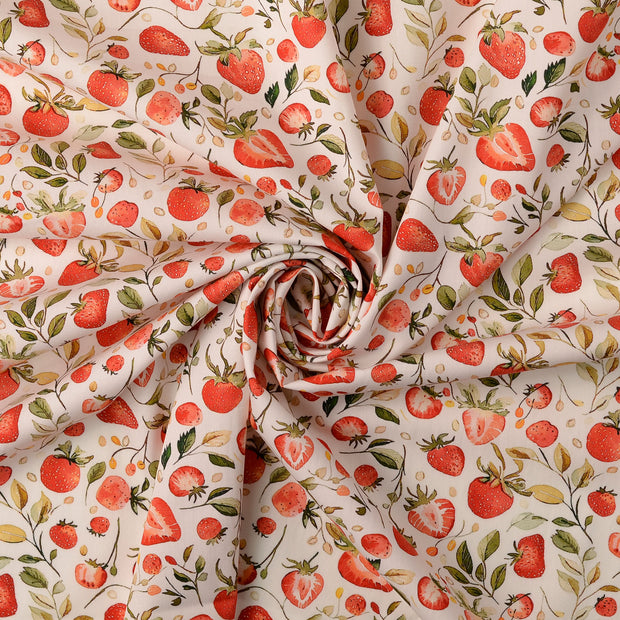 Cotton Poplin fabric  