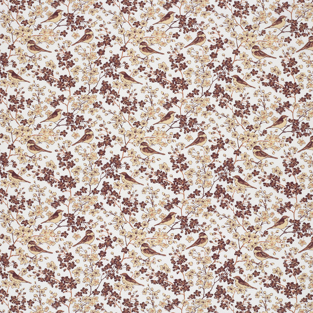 Popeline de Coton tissu Blanc cassé mat 