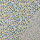 212342.0001